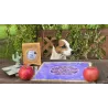 Genové klíče - GENOVÉ KLÍČE NA KAŽDÝ DEN