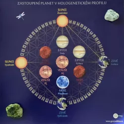 ZASTOUPENÍ PLANET V HOLOGENETICKÉM PROFILU
