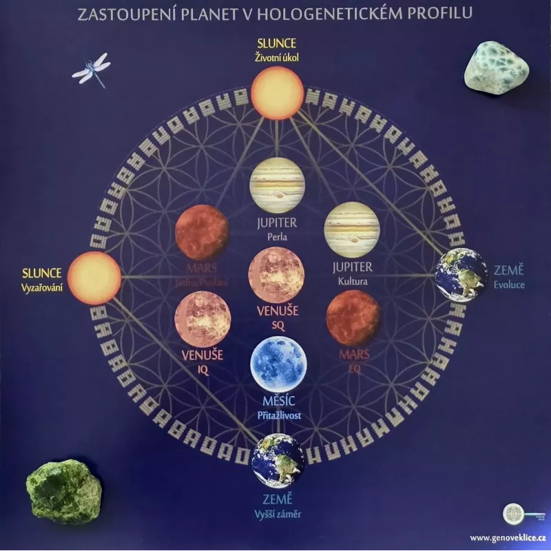 ZASTOUPENÍ PLANET V HOLOGENETICKÉM PROFILU ZASTOUPENÍ PLANET V HOLOGENETICKÉM PROFILU