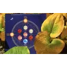 ZASTOUPENÍ PLANET V HOLOGENETICKÉM PROFILU ZASTOUPENÍ PLANET V HOLOGENETICKÉM PROFILU