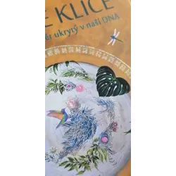 Genové klíče - VÝKLADOVÉ KARTY KE KNIZE GENOVÉ KLÍČE